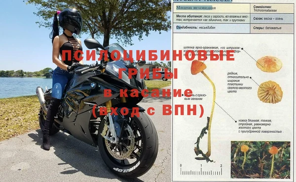 гашик Володарск