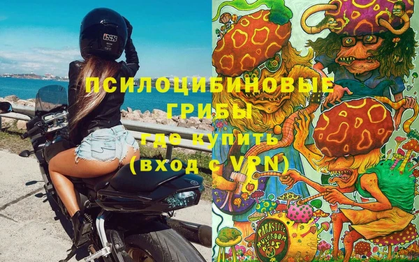 спайс Богородицк