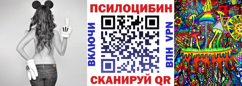 Псилоцибиновые грибы Psilocybine cubensis  Дорогобуж 