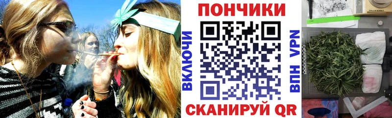 Шишки марихуана конопля  omg как зайти  Дорогобуж  купить наркоту 